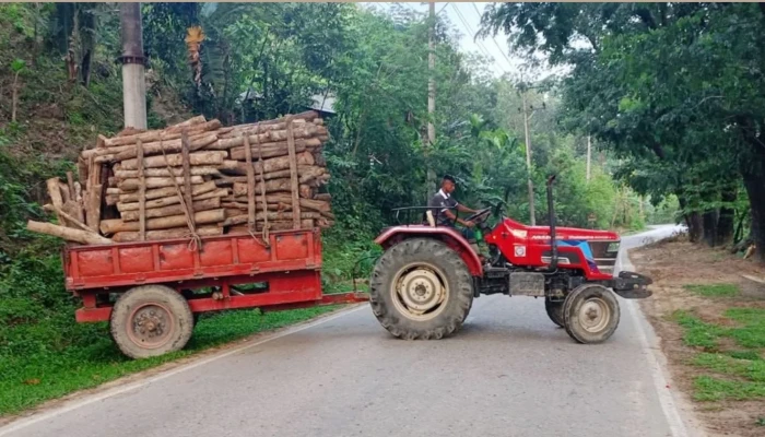 লামায় কাঠবোঝাই ট্রলি জব্দের পর ছেড়ে দেওয়ার অভিযোগ