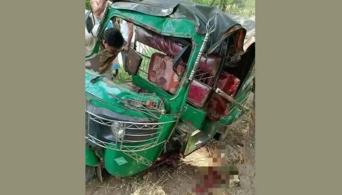 গাছের সঙ্গে অটোরিকশার ধাক্কা, নিহত চালক