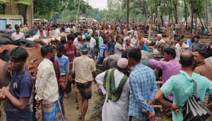 কুড়িগ্রামে বিএনপি নেতার ছেলের নামে ইজারা নেয়া হাটে অতিরিক্ত হাসিল আদায়ের অভিযোগ