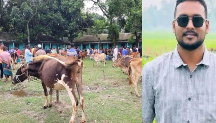 কুড়িগ্রামের চিলমারীতে কলেজের ফটকের তালা ভেঙে পশুর হাট বসালো ছাত্রদল নেতা