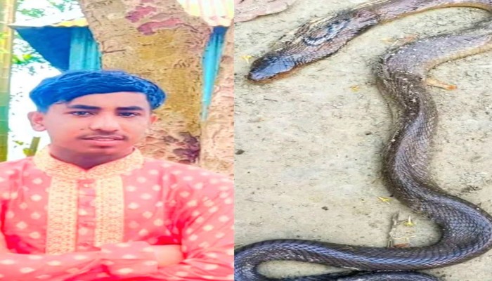হবিগঞ্জে গোখরা সাপের কামড়ে এক যুবকের মৃত্যু