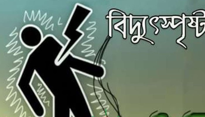 বদরগঞ্জে বিদ্যুৎস্পৃষ্টে গৃহবধুর মৃত্যু।
