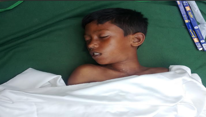 পুকুরের পানিতে ডুবে স্কুল ছাত্রের মৃত্যু