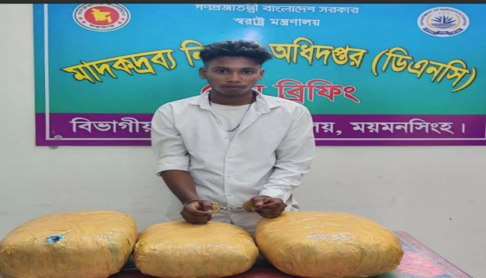মাদক দ্রব্য নিয়ন্ত্রণ অধিদপ্তরের অভিযানে পাগল ০৮ কেজি গাঁজাসহ  গ্রেফতার --০১