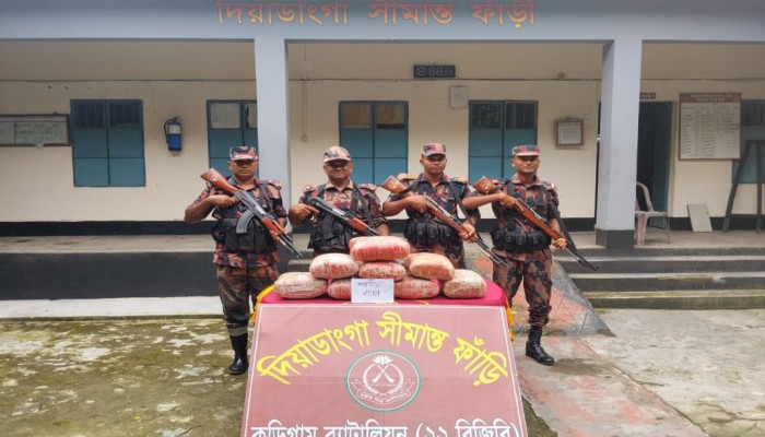 কুড়িগ্রাম সীমান্তে বিজিবির বিশেষ অভিযানে ২৪ ঘন্টায় ৮,৫১,৭৫৫ টাকার ভারতীয় গবাদিপশু ও গাঁজা আটক
