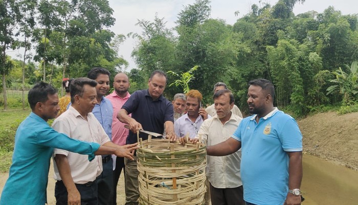 নাইক্ষ্যংছড়িতে খাল খনন পরিদর্শন ও বৃক্ষ রোপন করেন সহকারী সচিব রবিউল হাসান