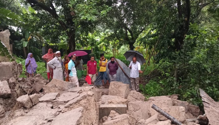 এক দেয়ালের ধসে নিভে গেল বৃদ্ধ কৃষকের স্বপ্ন, গাভী-বাছুর হারিয়ে পথে বসার শঙ্কা