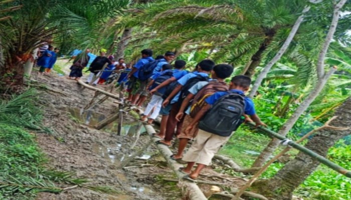 কাউখালীতে দুই কিলোমিটার কাঁচা সড়ক চলাচলের অযোগ্য, ঝুঁকি নিয়ে সাঁকো ব্যবহার করছে শিক্ষার্থীরা