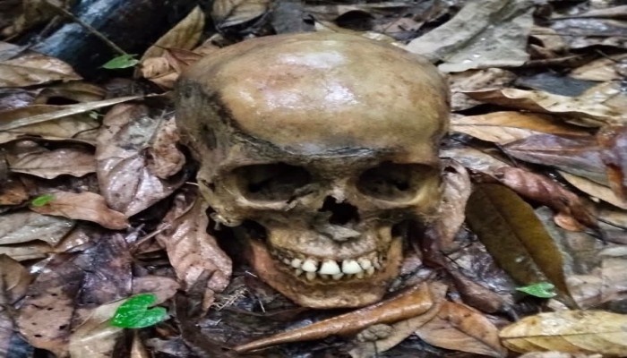 নাইক্ষ্যংছড়ির বাইশারীর গহিন জঙ্গল থেকে অজ্ঞাত ব্যক্তির কঙ্কাল উদ্ধার!