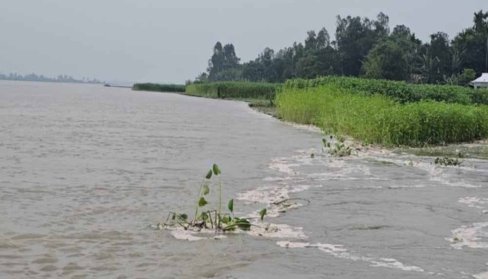 বিপদসীমায় তিস্তার পানি, কুড়িগ্রামের সব নিম্নাঞ্চল প্লাবিত হওয়ার শঙ্কা