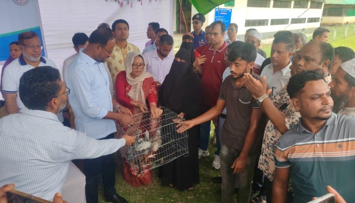 নাইক্ষ্যংছড়ি গয়াল গবেষণা কেন্দ্রে খামারিদের মাঝে ছাগল-মুরগি বিতরণ প্রাণিসম্পদ খাতকে আধুনিক ও লাভজনক করতে কাজ করছে সরকার : প্রতিমন্ত্রী সুলতান সালাউদ্দিন টুকু