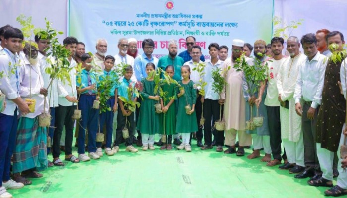 গাছ শুধু পরিবেশকে সবুজ করে না এটি  মানুষের ভবিষ্যতের সুরক্ষাও নিশ্চিত করে এম এ মালিক