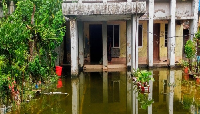 কাউখালীতে বাড়ছে ডেঙ্গু রোগী, স্বাস্থ্য কমপ্লেক্সে ভর্তি ৭ জন