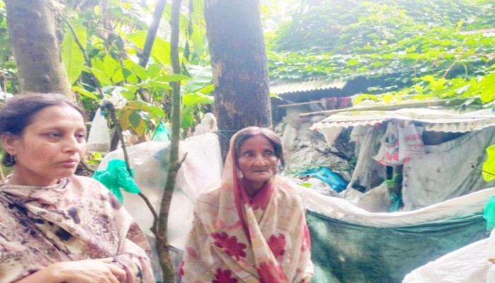 হবিগঞ্জের পৈল গ্রামে জরাজীর্ণ কুঁড়েঘরে মা-মেয়ের মানবেতর জীবন