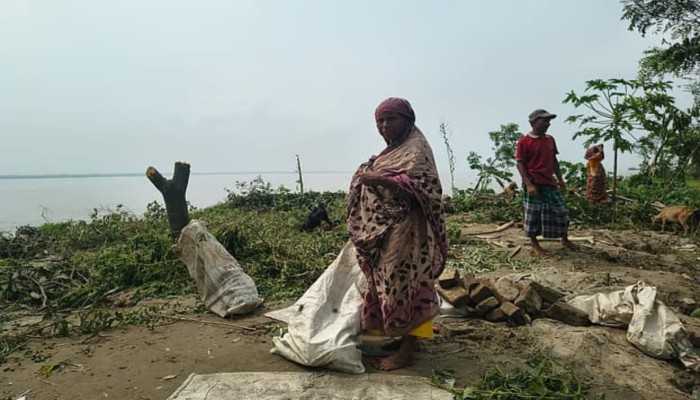 কুড়িগ্রামে ব্রহ্মপুত্রের ভাঙ্গন; 'এহন এই ভাঙা ঘর কোথায় নিয়া যামু, তারও ঠিকানা নাই’