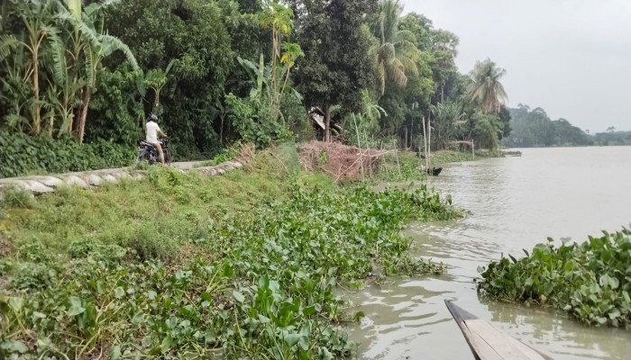 সন্ধ্যা নদীর ভাঙনে স্কুল-সড়ক হুমকিতে, জরুরি ভিত্তিতে জিওব্যাগ ফেলার দাবিতে এলাকাবাসীর আবেদন