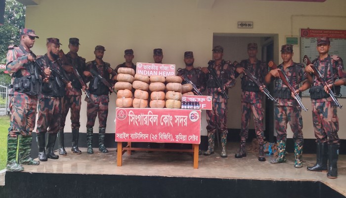 ব্রাহ্মণবাড়িয়া সীমান্তে বিজিবির অভিযান: ৪৮ কেজি ভারতীয় গাঁজা ও ৩৫ বোতল এসকাফ সিরাপ জব্দ