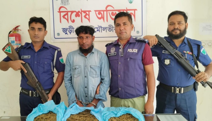 জুড়ীতে পুলিশের অভিযানে গাঁজাসহ মাদক কারবারি গ্রেফতার