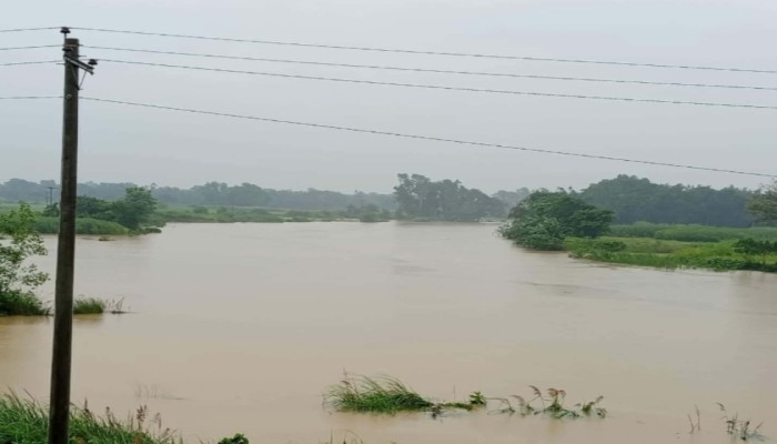 টানা বর্ষণে টইটম্বুর গোমতী, বাঁধ ভাঙার আতঙ্কে দিন কাটছে ব্রাহ্মণপাড়া চরের কৃষকদের