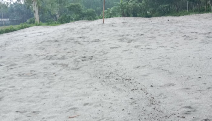 বালুখোর বিএনপি নেতা