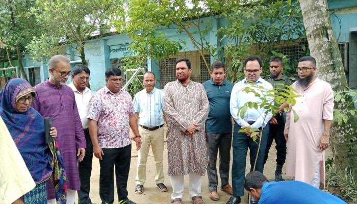 বুড়িচংয়ে প্রাথমিক শিক্ষা পদক প্রদান অনুষ্ঠান সরাসরি সম্প্রচার, গাছ রোপণ কর্মসূচির উদ্বোধন