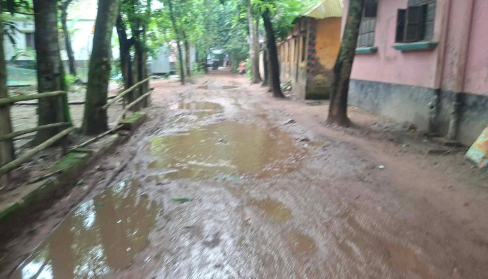 ব্রাহ্মণপাড়া বারেশ্বর - মালাপাড়া সড়ক  দুই কিলোমিটার জুড়ে খানাখন্দ, দুর্ভোগে দুই ইউনিয়নের ১০ গ্রামের বাসিন্দারা