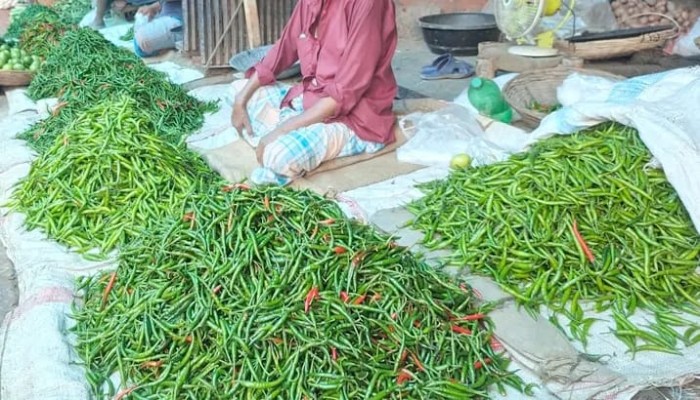 হবিগঞ্জ কাঁচামরিচের কেজি ৩০০ টাকা, দিশেহারা ক্রেতারা