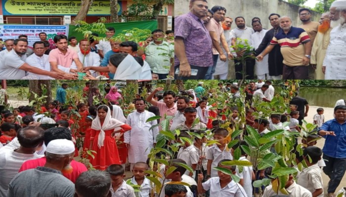 বন্ধু সেবা সংগঠনের উদ্যোগে বিভিন্ন শিক্ষা প্রতিষ্ঠানে খেলার সামগ্রী বিতরণ ও বৃক্ষরোপণ  কর্মসূচি