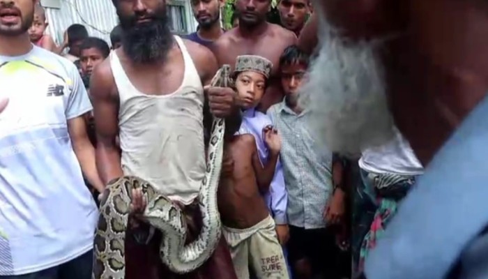 কুড়িগ্রামে ১০ ফুট লম্বা অজগর সাপ উদ্ধার, এলাকাজুড়ে চাঞ্চল্য
