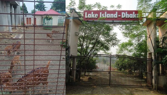 লেক আইল্যান্ড ঢাকার ভয়ংকর প্রতারণার ফাঁদে নিঃস্ব গ্রাহক
