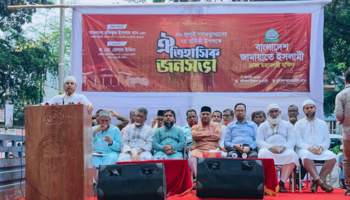 সংখ্যাগরিষ্ঠতার জোরে বিএনপি গণভোটের রায় বাতিল করে দিয়েছে - মাওলানা রফিকুল ইসলাম খান এমপি