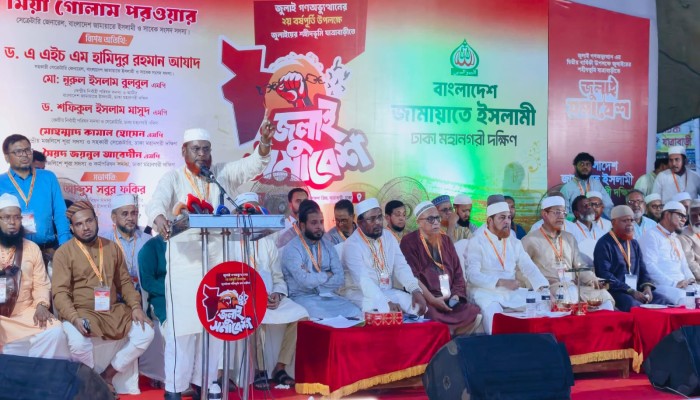 বিএনপি রক্তাক্ত জুলাইয়ের ইতিহাস ভুলতে বসেছে - সাবেক এমপি অধ্যাপক মিয়া গোলাম পরওয়ার