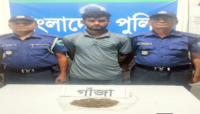 বাঘায় ১০০ গ্রাম শুকনো গাঁজাসহ যুবক আটক