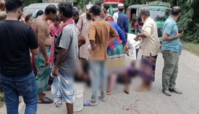 ছয় মাসের সন্তান রেখে সড়ক দু'র্ঘট'না'য় মায়ের ম'র্মান্তি'ক মৃ'ত্যু