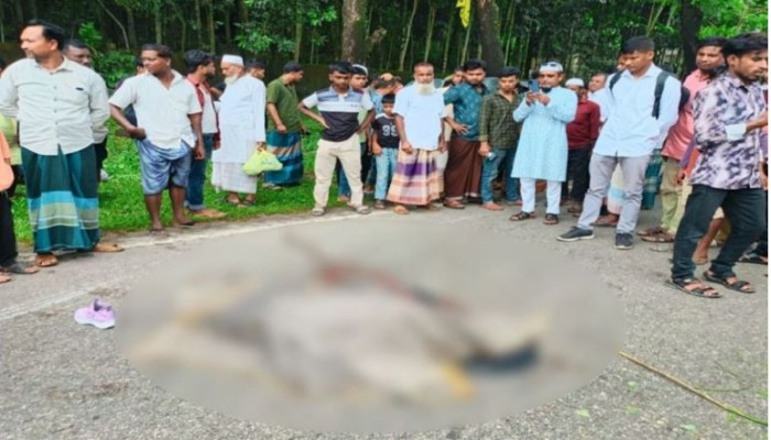 সিলেট-তামাবিল মহাসড়কে বাসচা'পা'য় কিশোরী পর্যটক নি'হ'ত