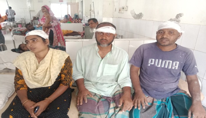 কয়রায় জমি নিয়ে সং'ঘর্ষ, একই পরিবারের ৪ জন গুরুতর আ'হত