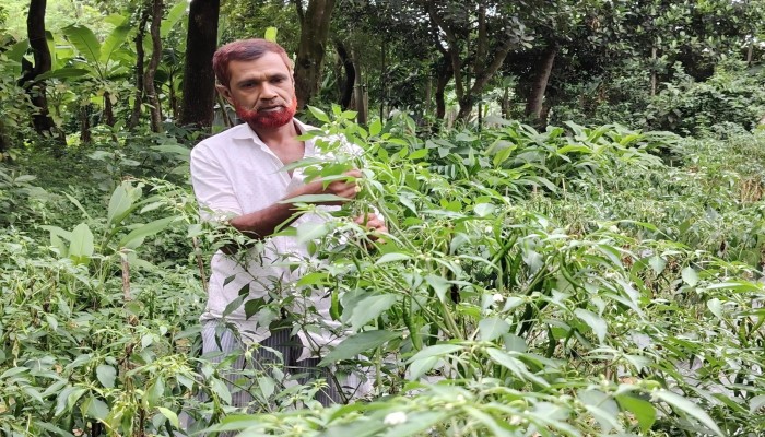 ১০ শতকের পরীক্ষা’ এখন কামালের নতুন স্বপ্ন