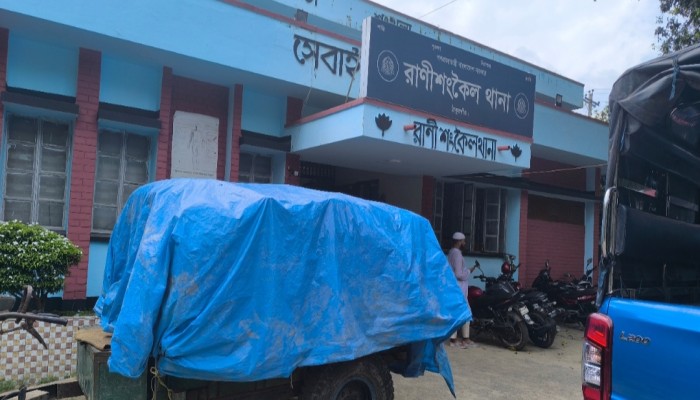 রাণীশংকৈলে সরকারি চাল পা'চারকা'লে  আ'টক ২-নেপথ্যে ইউনিয়ন বিএনপি নে'তা