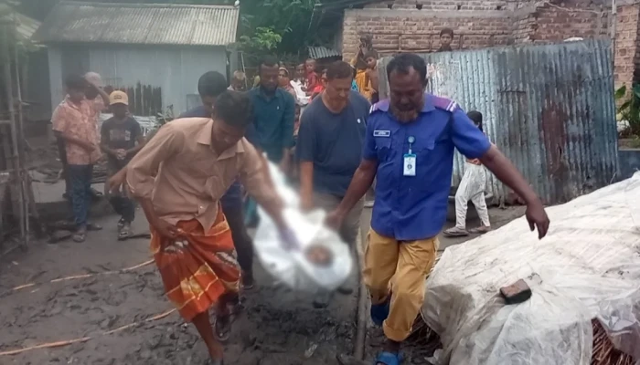 মোটর চু'রি করতে গিয়ে বি'দ্যু'ৎ'স্পৃ'ষ্ট' হয়ে যুবকের মৃ'ত্যু