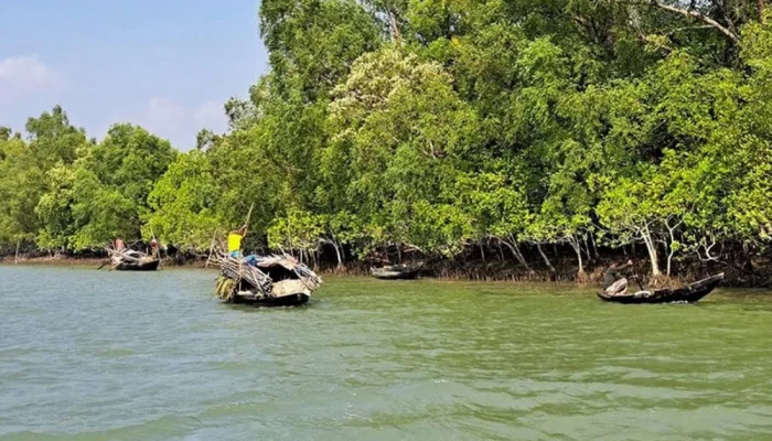 তিন মাসের নি'ষে'ধাজ্ঞা শেষে আজ খুলছে সুন্দরবন