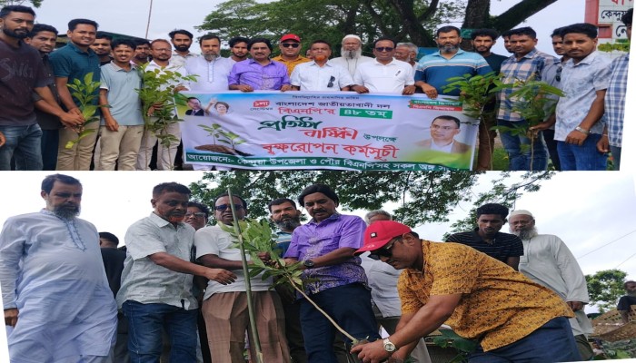 কেন্দুয়ায় বিএনপির প্রতিষ্ঠাবার্ষিকী উপলক্ষে বৃক্ষরোপণ কর্মসূচি