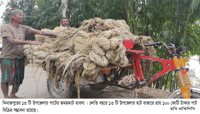 দিনাজপুরের ১৩টি উপজেলায় পাটের জমজমাট বাজার, প্রায় ১০০ কোটি টাকার ব্যবসার আশা॥