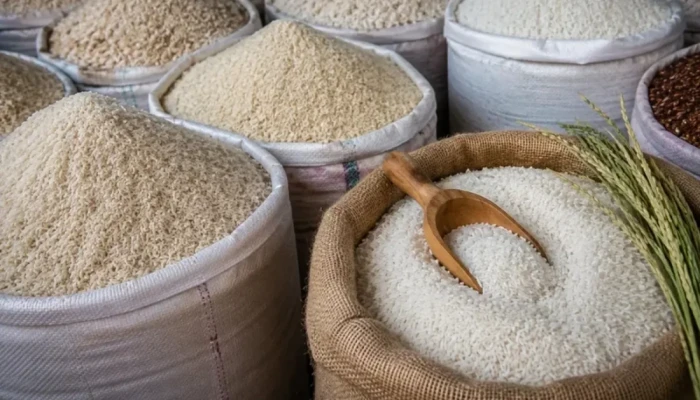 পোলাওর চালের দাম দ্বিগুণ, রপ্তানি নাকি কৃত্রিম 'সং'ক'ট?