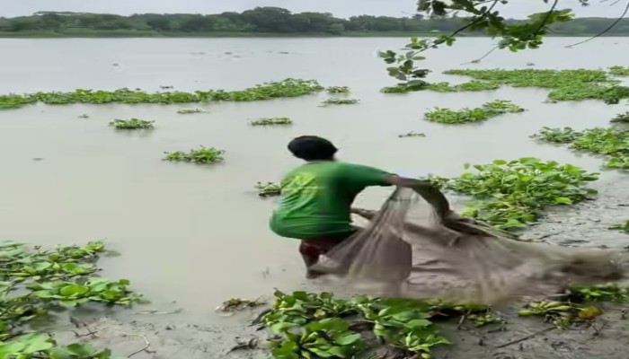 কটিয়াদীতে ঝাঁ'কি জা'ল দিয়ে মাছ শিকার বি'লুপ্তপ্রা'য়