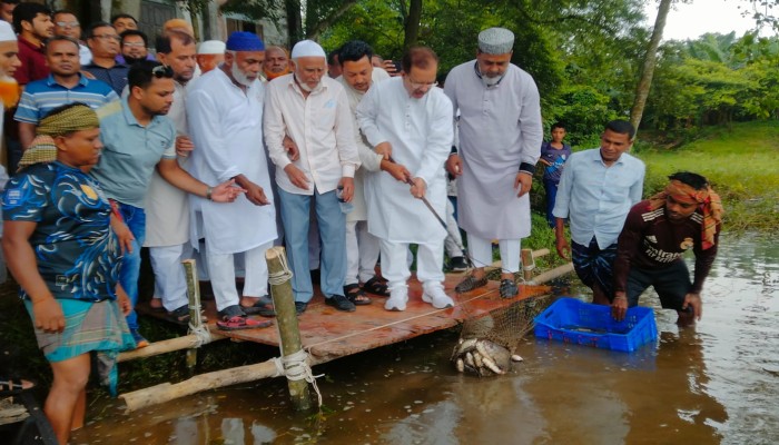 বিএনপির প্রতিষ্ঠাবার্ষিকীতে কালীগঞ্জে মাছ অ'বমুক্ত, বৃক্ষরোপণ ও আলোচনা সভা