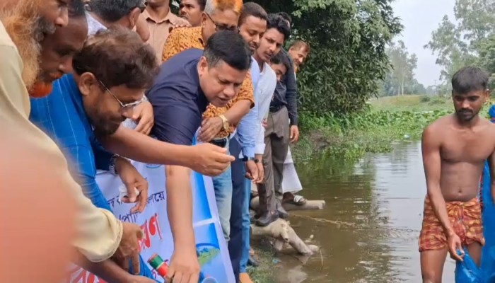 স'লঙ্গায় গারুদহ নদীতে পোনামাছ অ'বমুক্ত করলেন সংসদ সদস্য ভিপি আয়নুল হক