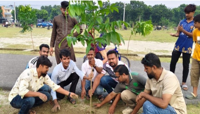 সাইফি রহমানের উদ্যোগে রাজশাহীতে এক ঘন্টায় ৬০০ গাছের চারা রোপণ