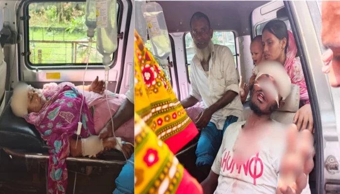 পাওনা টাকা চাওয়ায় বাউফলে একই পরিবারের ৪ জনকে কু'পি'য়ে জ'খ'ম