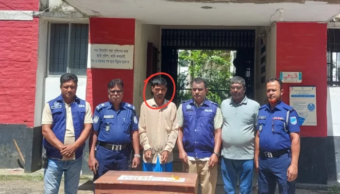 শ্বশুরবাড়ি থেকে চু'রি হওয়া ১৩ লাখ টাকার স্বর্ণসহ ঘরজামাই গ্রে'প্তা'র