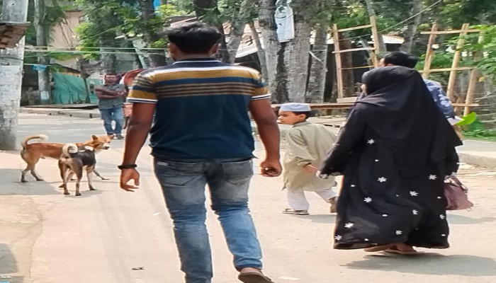 কাউখালীতে বেওয়ারিশ কুকুরের তাণ্ডব: শিশুসহ আ'হ'ত ১৫, আ'ত'ঙ্কে স্কুলে যাওয়া ব'ন্ধে'র উপক্রম